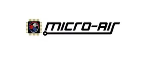Micro Air
